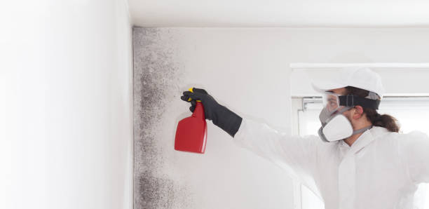 Best Local Mold Removal Service  in Runaway Bay, TX