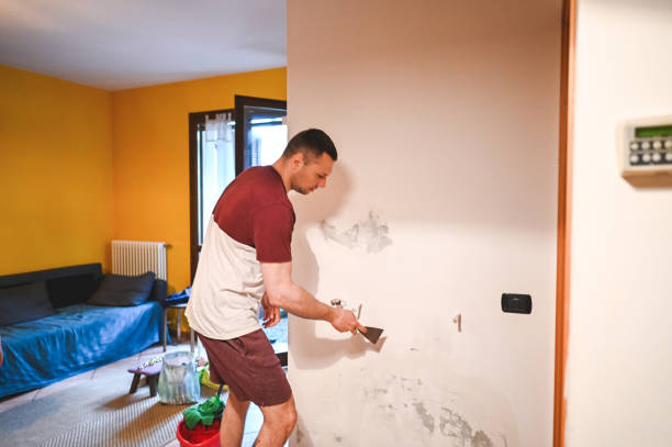 Best Professional Mold Removal  in Runaway Bay, TX